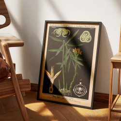 Ingefr 1880 - Anskuelsestavle