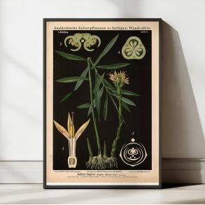 Ingefr 1880 - Anskuelsestavle