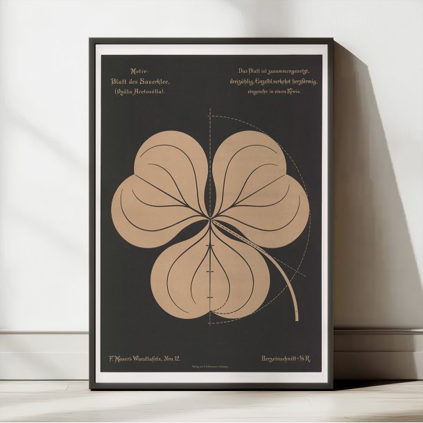 Mosers nr. 12 1892 - Anskuelsestavle