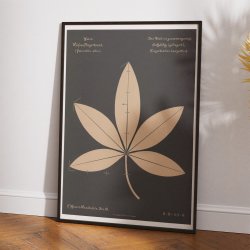 Mosers nr. 16 1892 - Anskuelsestavle