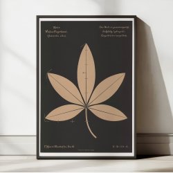 Mosers nr. 16 1892 - Anskuelsestavle