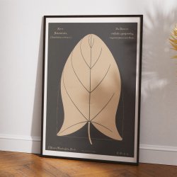 Agersnerle 1892 - Anskuelsestavle