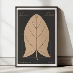 Agersnerle 1892 - Anskuelsestavle