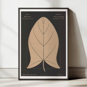 Agersnerle 1892 - Anskuelsestavle