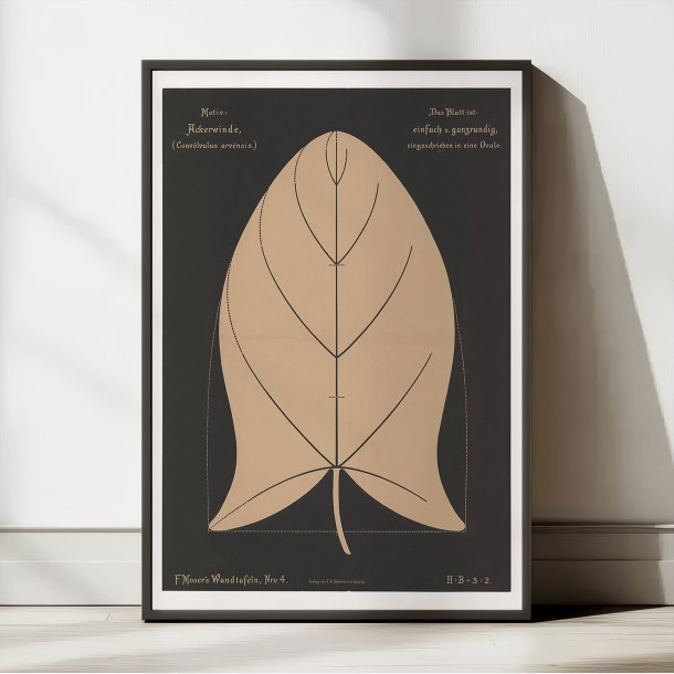 Agersnerle 1892 - Anskuelsestavle