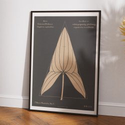 Pilblad 1892 - Anskuelsestavle