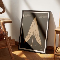 Pilblad 1892 - Anskuelsestavle