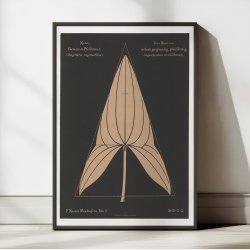 Pilblad 1892 - Anskuelsestavle