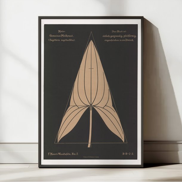 Pilblad 1892 - Anskuelsestavle