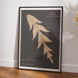 Lvetand 1892 - Anskuelsestavle