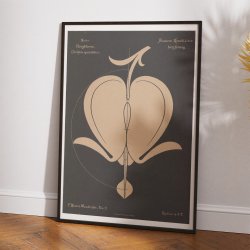 Hjerteblomst 1892 - Anskuelsestavle