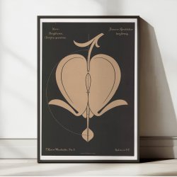 Hjerteblomst 1892 - Anskuelsestavle