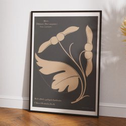 Navr 1892 - Anskuelsestavle