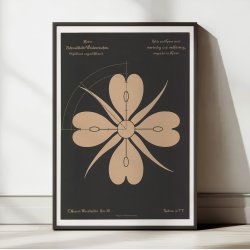 Gederams 1892 - Anskuelsestavle