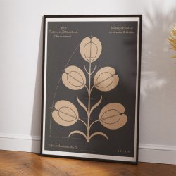 Almindelig Pengeurt 1892 - Anskuelsestavle