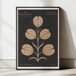 Almindelig Pengeurt 1892 - Anskuelsestavle