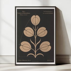 Almindelig Pengeurt 1892 - Anskuelsestavle