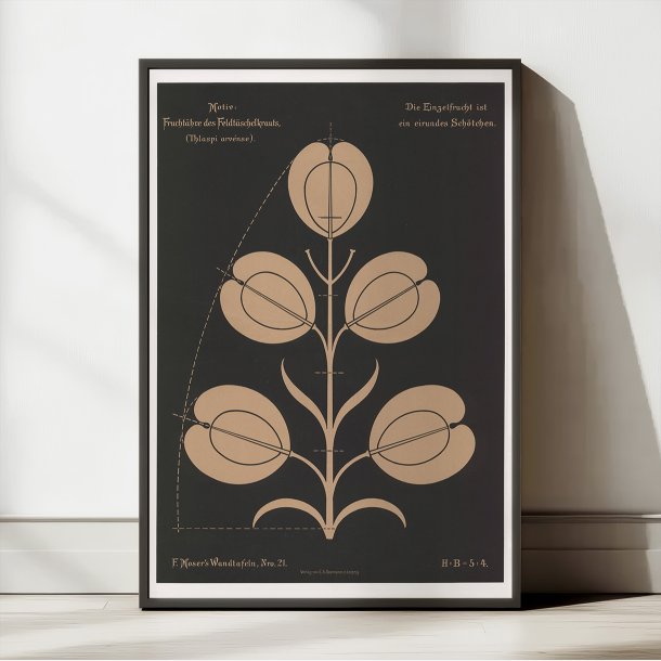 Almindelig Pengeurt 1892 - Anskuelsestavle