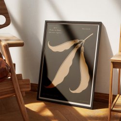 Bnnefrugter 1892 - Anskuelsestavle