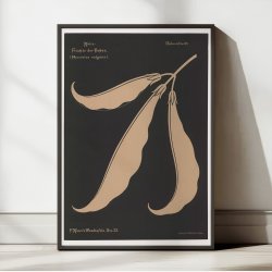 Bnnefrugter 1892 - Anskuelsestavle