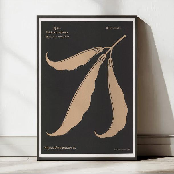 Bnnefrugter 1892 - Anskuelsestavle