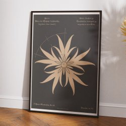 Trvlekrone 1892 - Anskuelsestavle