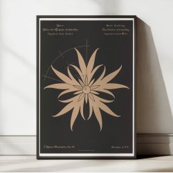 Trvlekrone 1892 - Anskuelsestavle