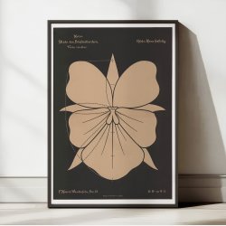 Stedmoderblomst 1892 - Anskuelsestavle