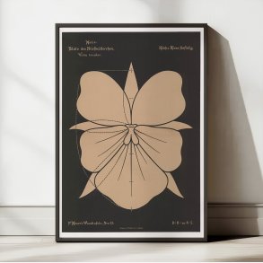 Stedmoderblomst 1892 - Anskuelsestavle