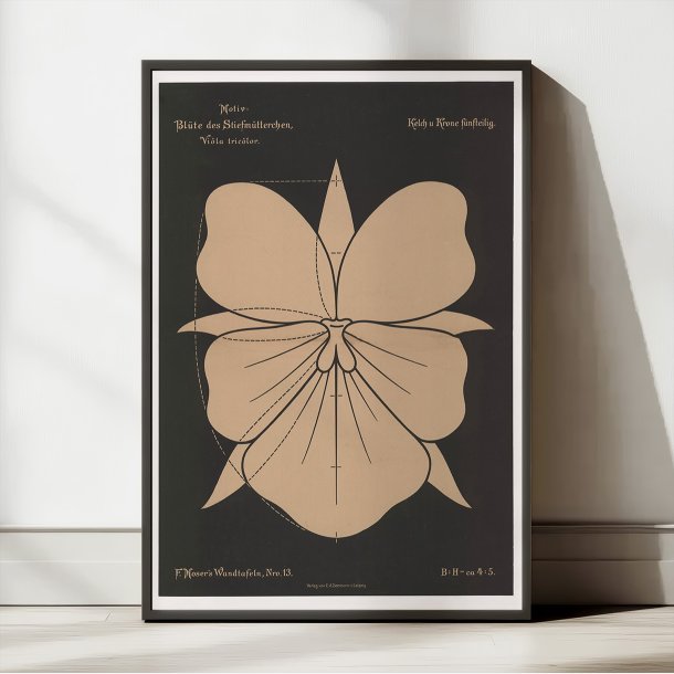 Stedmoderblomst 1892 - Anskuelsestavle