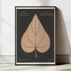 Purpur-pragtsnerle 1892 - Anskuelsestavle