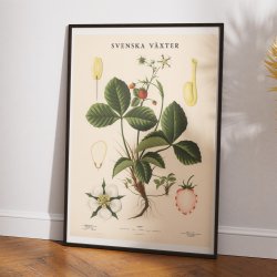 Jordbr 1939 - Anskuelsestavle