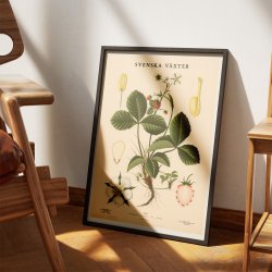 Jordbr 1939 - Anskuelsestavle