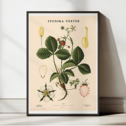 Jordbr 1939 - Anskuelsestavle