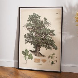 Egetr 1889 - Anskuelsestavle