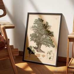 Egetr 1889 - Anskuelsestavle