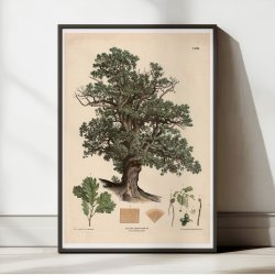 Egetr 1889 - Anskuelsestavle