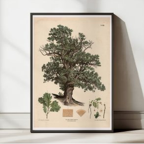 Egetr 1889 - Anskuelsestavle