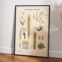 Rug, havre og hvede 1939 - Biologi og botanik