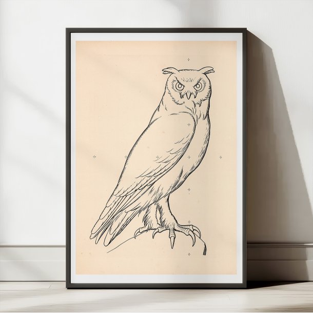 Ugle 1863 - Anskuelsestavle