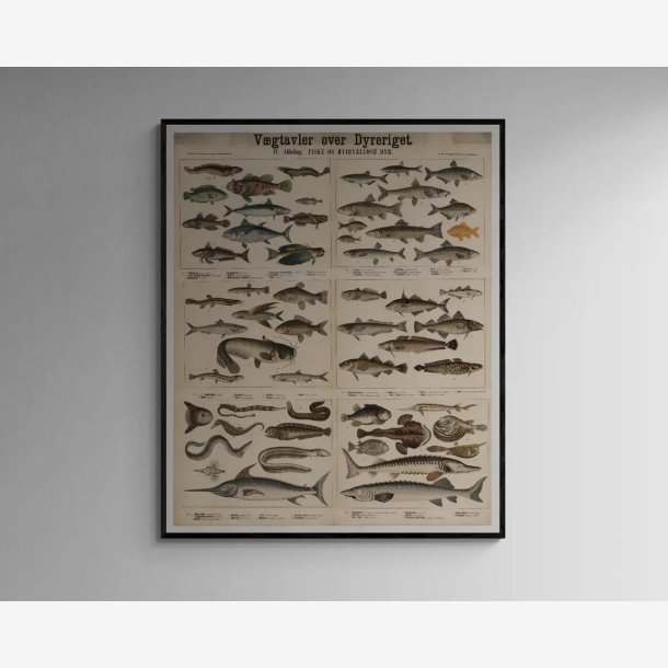Fisk og hvirvellse dyr I 1879 - Anskuelsestavle - 57x70 cm