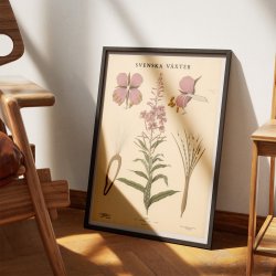 Dueurt 1936 - Botanisk Anskuelsestavle