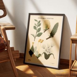 Pil 1936 - Botanisk Anskuelsestavle