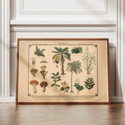 Blomster, urter, svampe og trer 1875