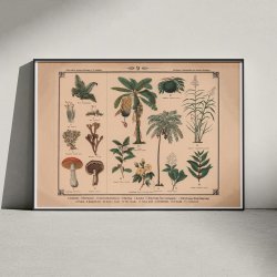 Blomster, urter, svampe og trer 1875