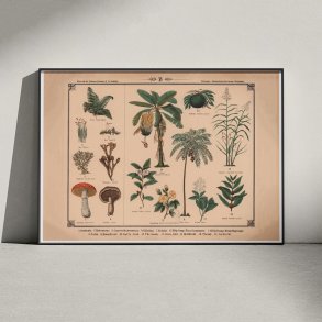 Blomster, urter, svampe og trer 1875