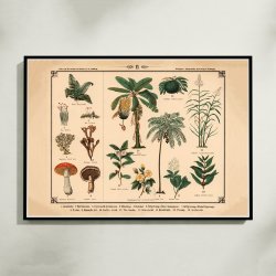 Blomster, urter, svampe og trer 1875