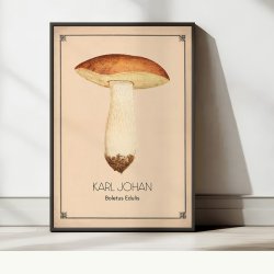 Karl Johan svamp - Anskuelsestavle