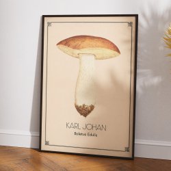 Karl Johan svamp - Anskuelsestavle