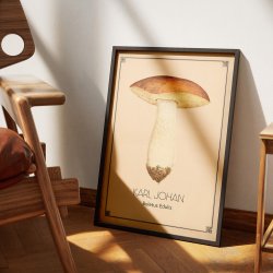 Karl Johan svamp - Anskuelsestavle